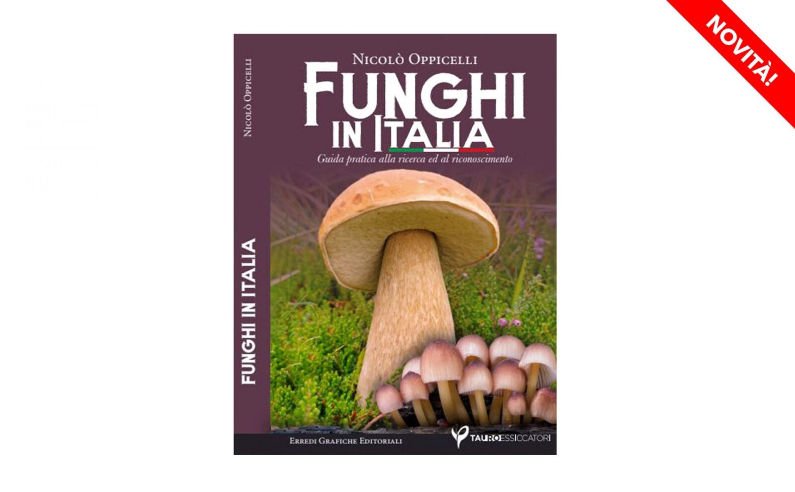 funghi-in-italia-elenco.jpg