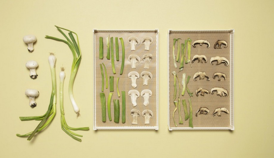 i 5 prodotti da essiccare subito