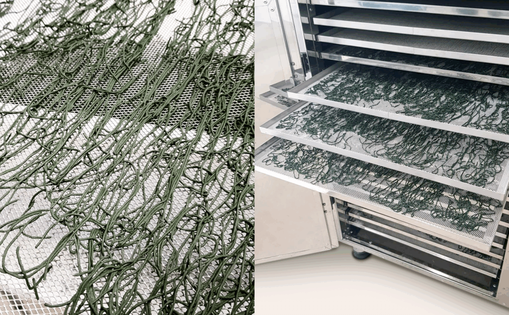 L'energia dela spirulina