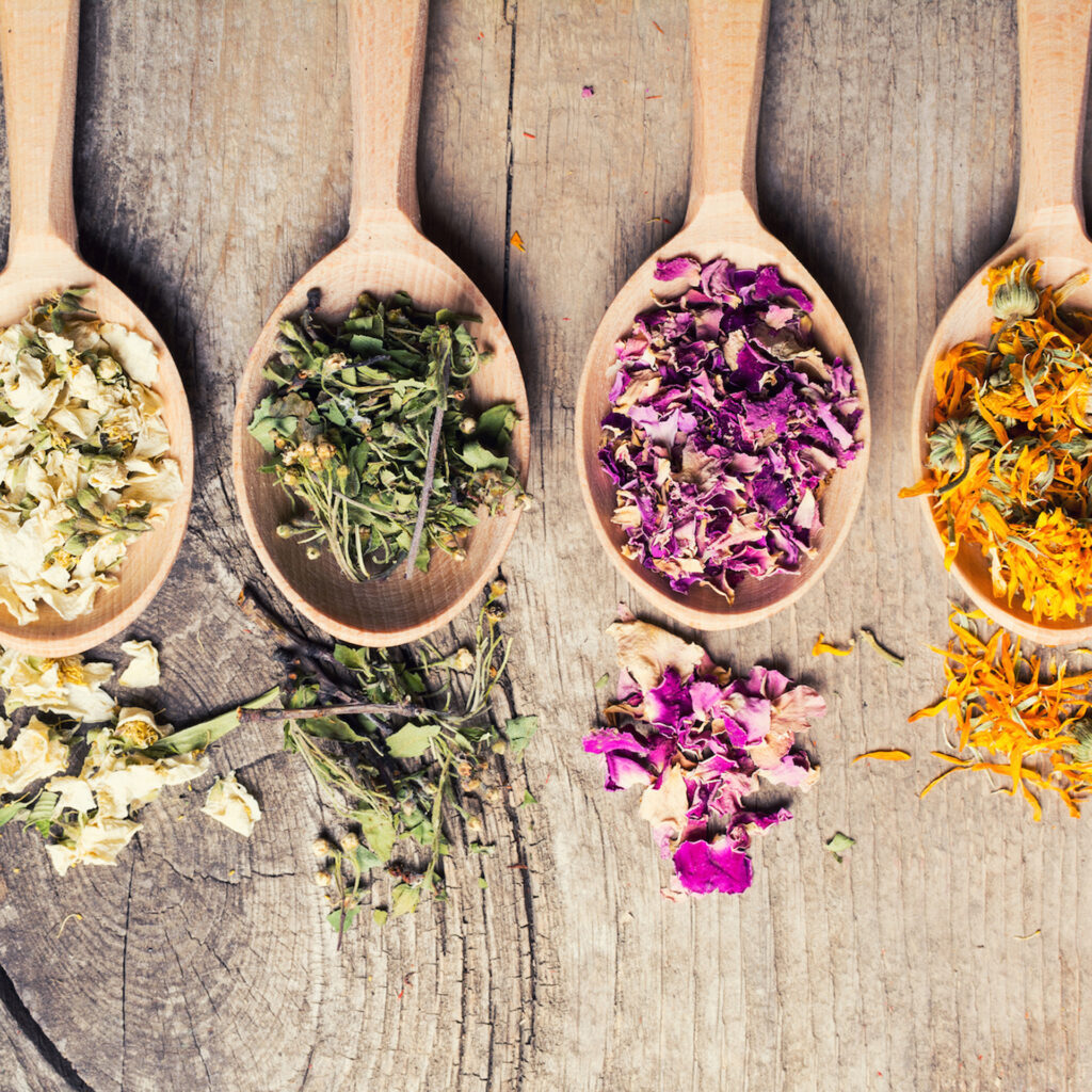 Essiccazione a bassa temperatura di erbe officinali, come camomilla e lavanda, per preservare intatti i principi attivi e gli oli essenziali.