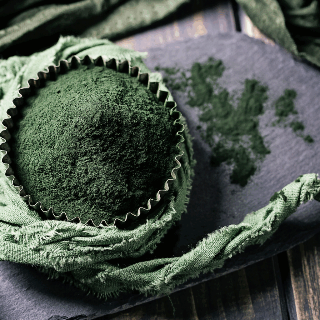 Processo di essiccazione controllata di novel food, come insetti e spirulina, per la produzione di farine proteiche e ingredienti funzionali.