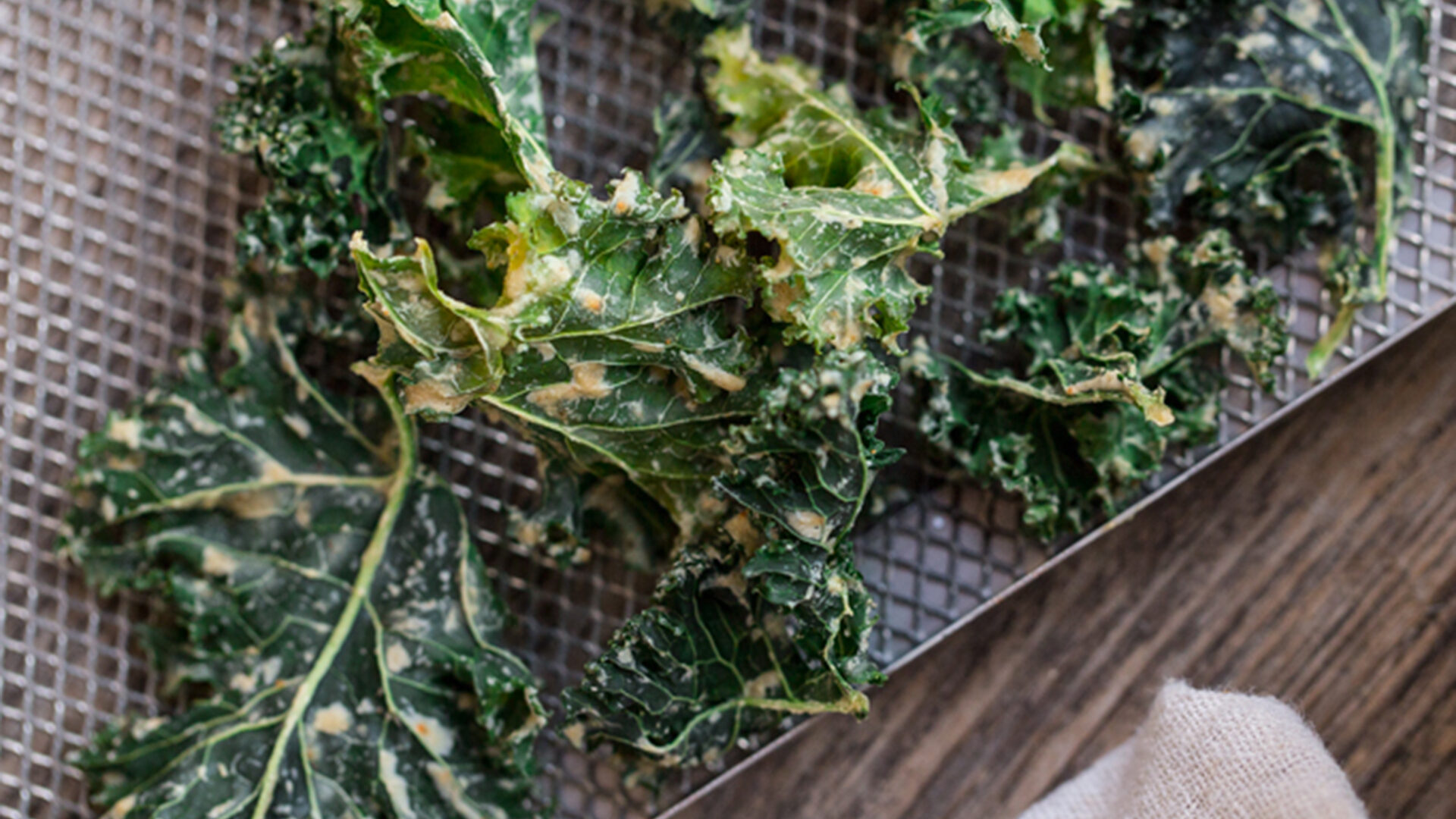 Chips di cavolo riccio al pesto di anacardi, una ricetta per uno snack vegano e croccante fatto in casa con l'essiccatore.