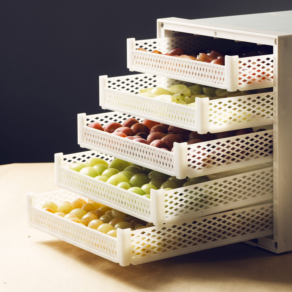 Acini d'uva nei cestelli dell'essiccatore Biosec, pronti per essere trasformati in uvetta grazie alle tecniche di essiccazione professionale.